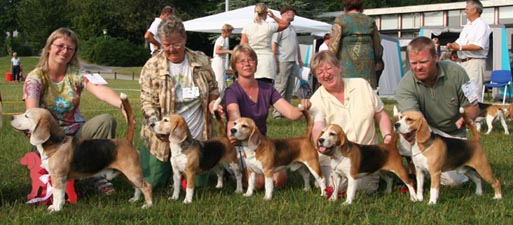 CH Tameo's Playboy BIS avlsklasse begge dage VSS2006 i Ringe. 1000 tak for ln at hunde og handlere. Foto: Johnny Strmsted